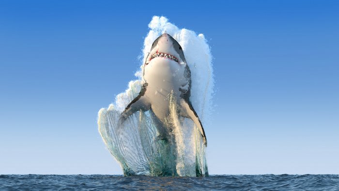 Great white shark breaching from the ocean