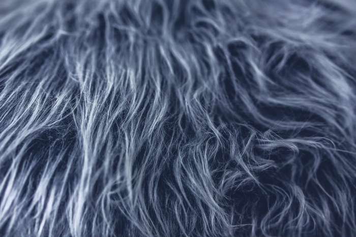Close-up of gray fur texture 4K