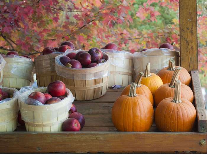 Apples and pumpkins at an autumn harvest stand