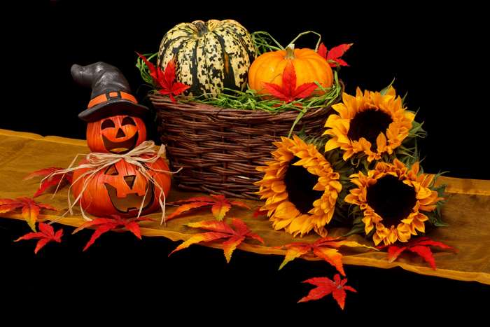 Halloween pumpkins, sunflowers, and autumn leaves decoration 4K