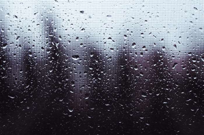 Raindrops on a window pane