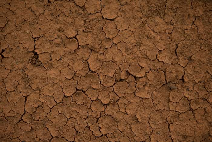 Cracked dry earth texture