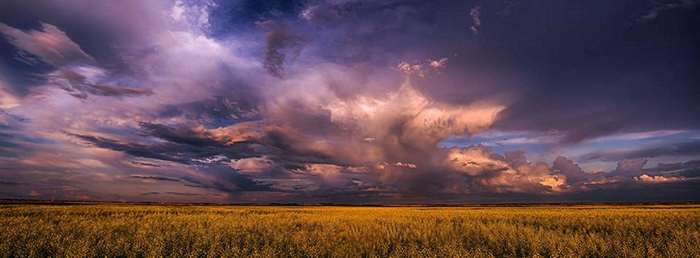 Stormy clouds over a golden prairie