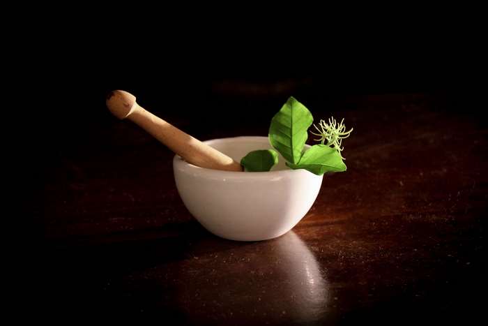 Mortar and pestle with herbs and flowers