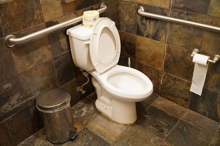 Toilet with grab bars and toilet paper 4K