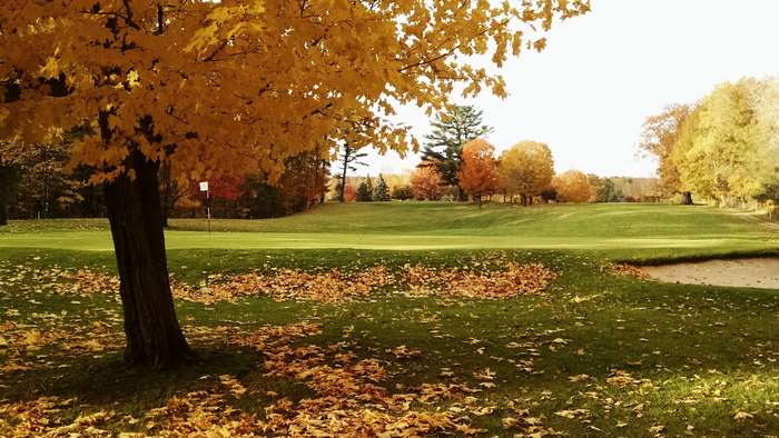 Autumn scene on a golf course 4K