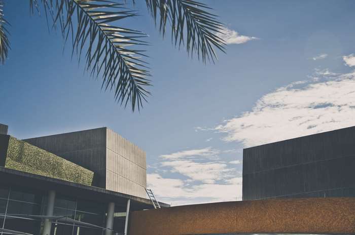 Modern architecture with palm leaves and sky