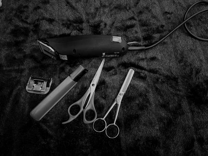 Black and White Dog Grooming Tools Close-Up 4K