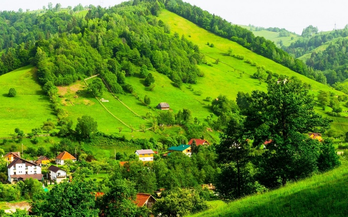 Green Rolling Hills with Houses and Trees