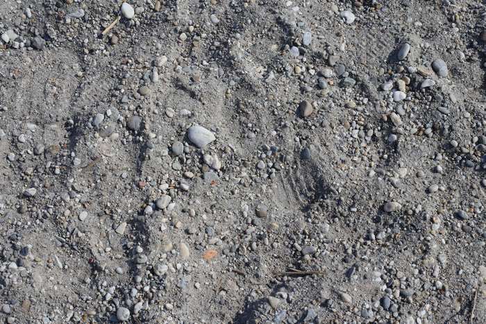 Gravel and sand texture 4K