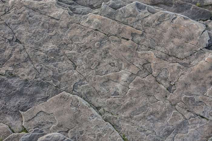 Gray rough stone surface texture
