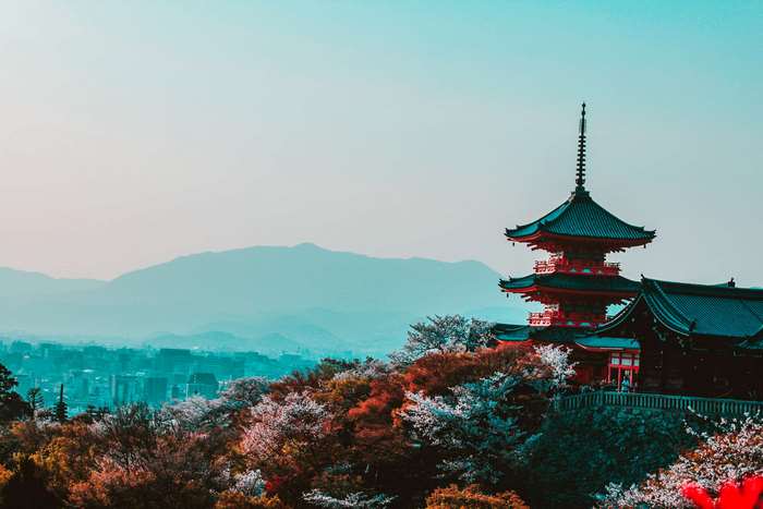Pagoda and cherry blossoms overlooking a city in Japan