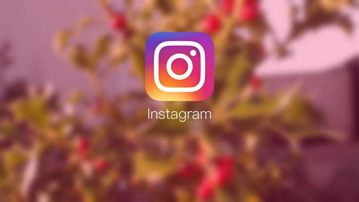 Instagram logo on a blurred background