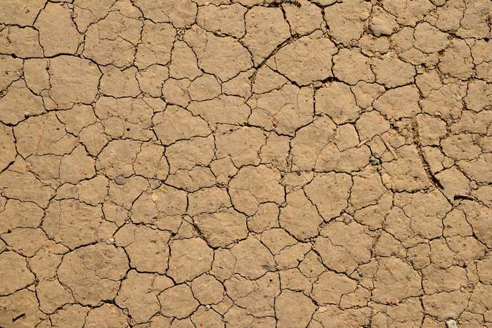 Cracked Dry Earth Surface Texture 4K