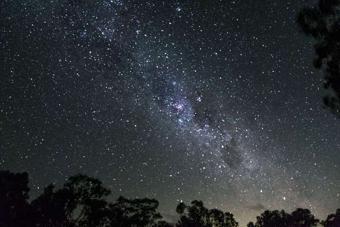 Milky Way galaxy in the night sky with trees