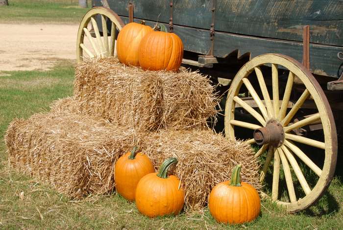 Pumpkins and hay bales by a wagon wheel