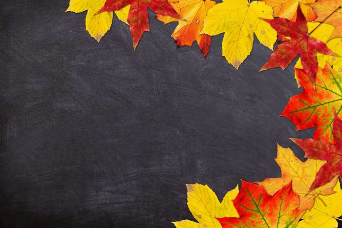 Autumn Maple Leaves on a Black Blackboard 4K