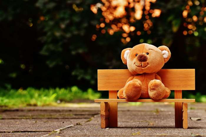 Teddy bear sitting on a wooden bench in a park