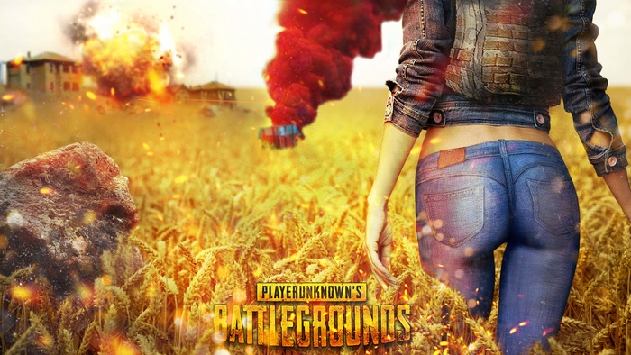 PlayerUnknown's Battlegrounds character with smoke grenade