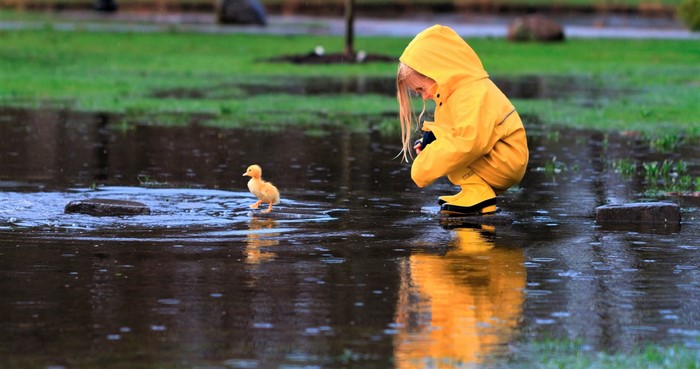 Little Girl in Yellow Raincoat with Duckling 4K