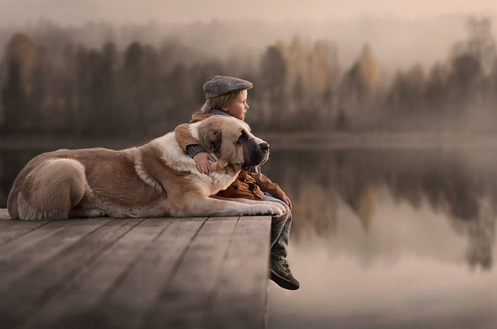 Boy and dog on a wooden dock