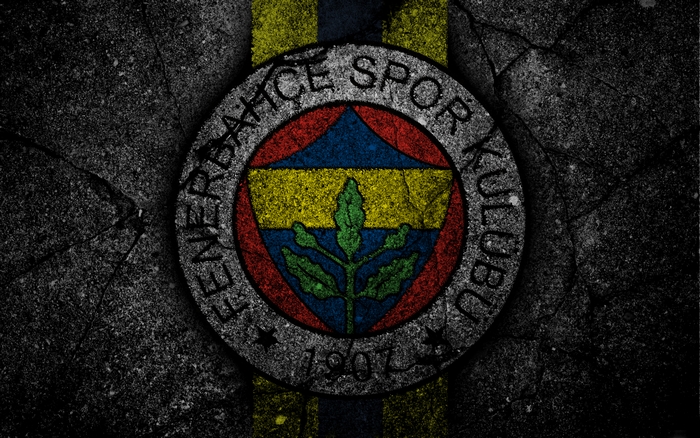 Fenerbahçe S.K. logo on textured background