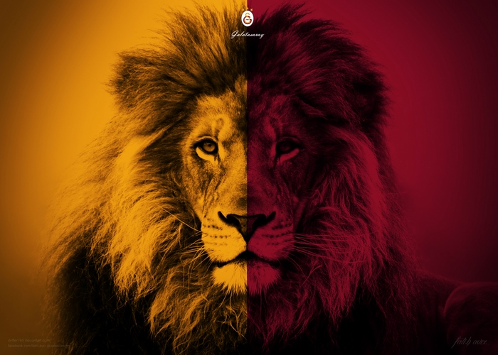 Galatasaray S.K. Lion Logo