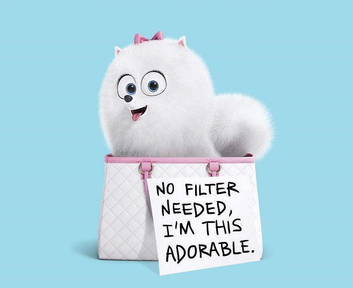 Gidget from The Secret Life of Pets in a handbag