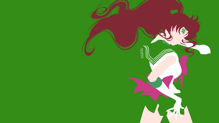 Sailor Jupiter from Sailor Moon