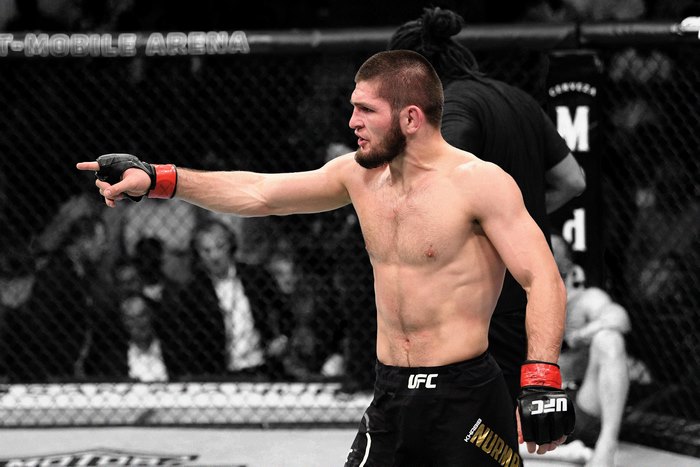 Khabib Nurmagomedov in UFC octagon