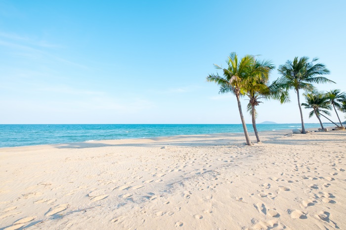 Tropical beach with palm trees and ocean