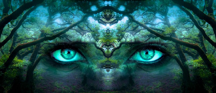 Surreal forest with glowing blue eyes