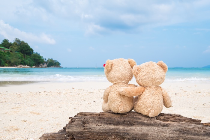 Two teddy bears sitting on a log on a beach