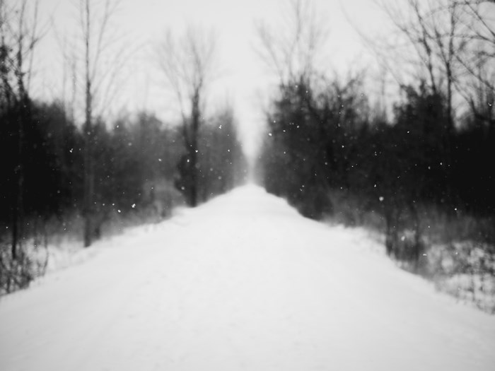 Snowy path through a forest in winter