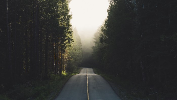 Road through a foggy forest on Vancouver Island