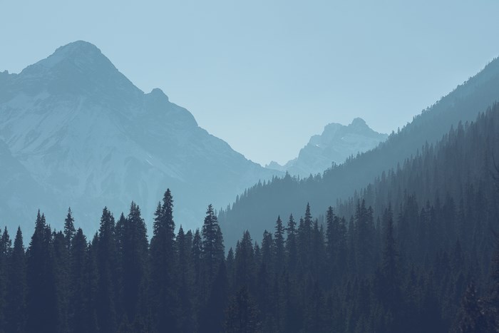 Misty Mountains and Pine Forest Landscape