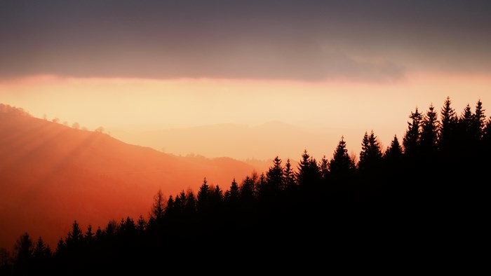 Sunset over a forest on a mountain
