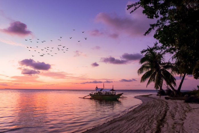 Tropical island sunset with birds and boat in Palawan