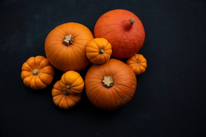 Assorted Orange Pumpkins on Dark Surface