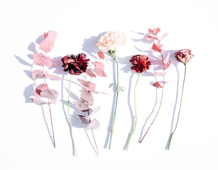 Flat lay of dried flowers and eucalyptus leaves