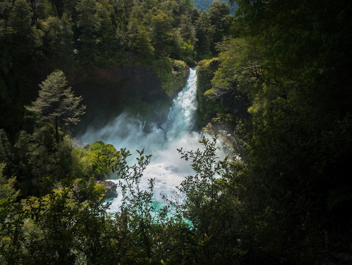 Waterfall cascading through a dense forest with lush green trees