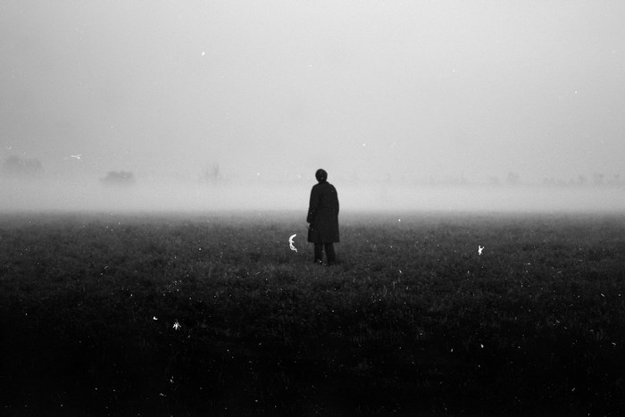 Person standing in a foggy field