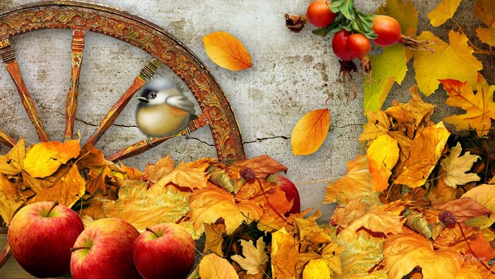 Autumn still life with bird, apples, and wheel
