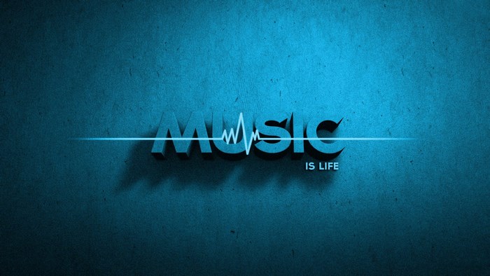Music is Life text with sound wave