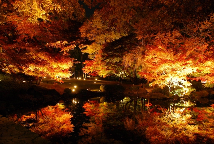 Autumn trees illuminated at night reflected in water