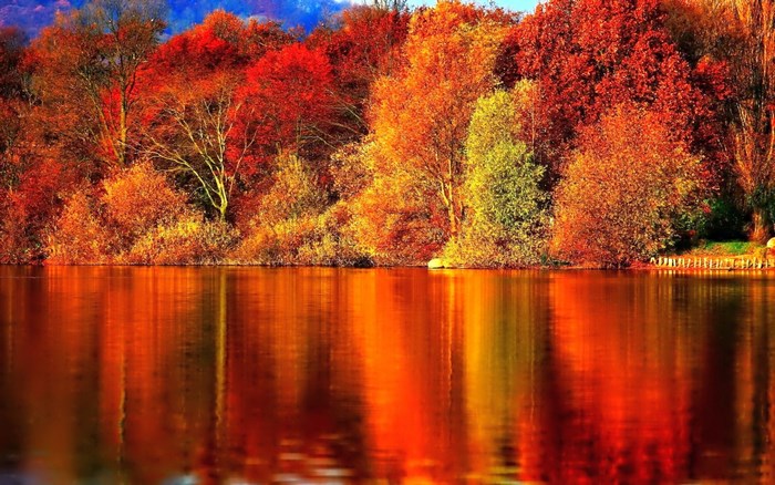 Autumn trees reflected in a lake