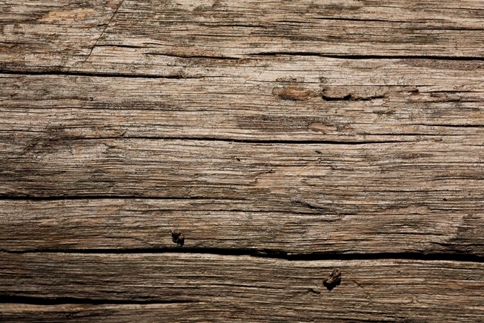 Close-up of weathered wood grain
