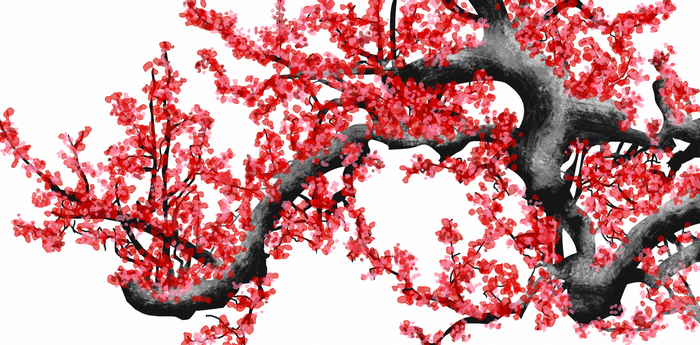 Cherry blossom tree branches with pink flowers