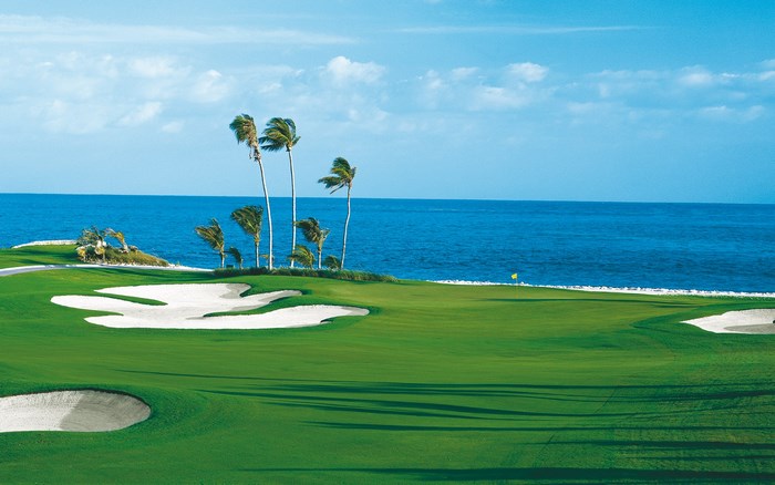 Golf course with palm trees and ocean