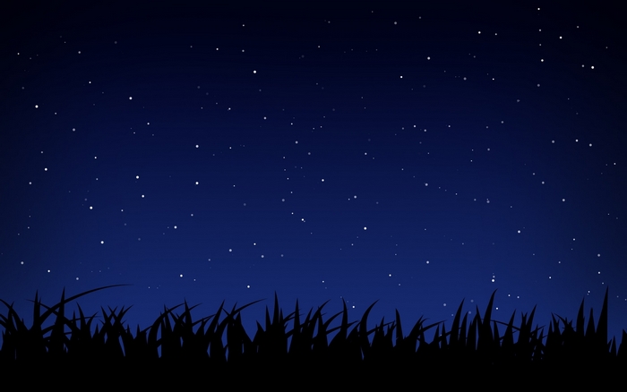 Night sky with stars and grass silhouette